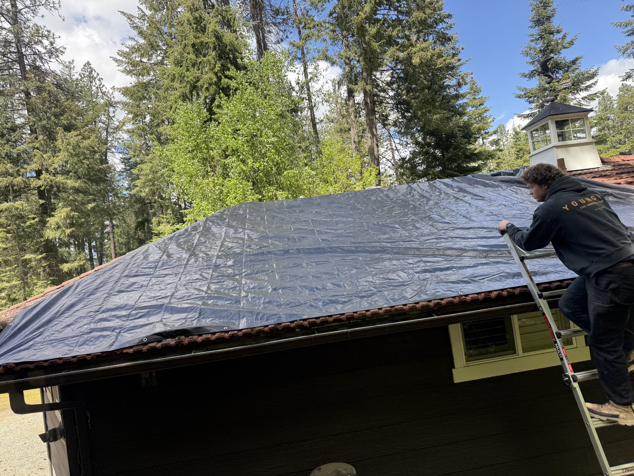 Work underway on a structure surrounded by mature conifers