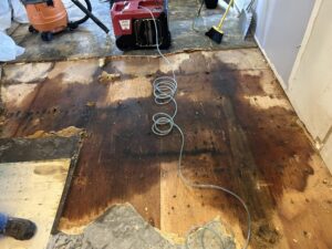 Subfloor exposed and stained after flooring removal, with extraction and drying equipment running
